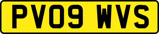 PV09WVS