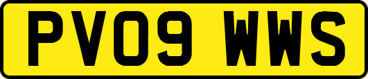 PV09WWS