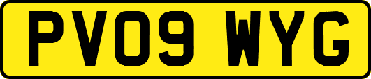 PV09WYG
