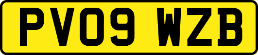 PV09WZB