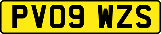 PV09WZS