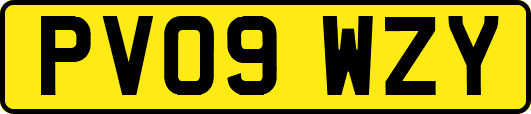 PV09WZY