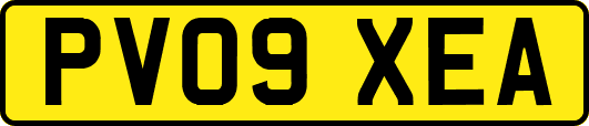 PV09XEA