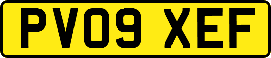 PV09XEF