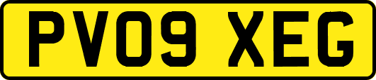 PV09XEG