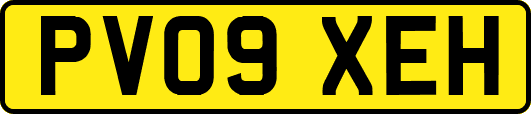PV09XEH