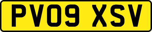 PV09XSV