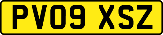PV09XSZ