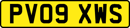 PV09XWS