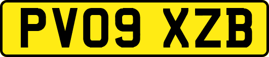 PV09XZB