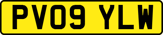 PV09YLW