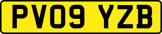 PV09YZB