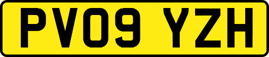 PV09YZH