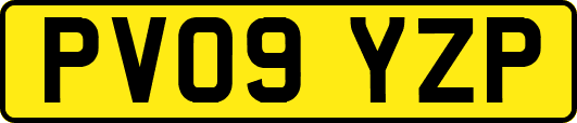 PV09YZP