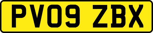 PV09ZBX