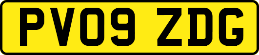 PV09ZDG