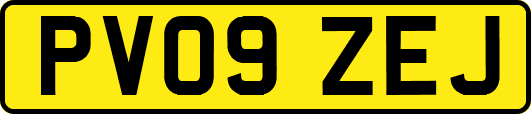 PV09ZEJ