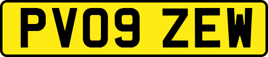 PV09ZEW