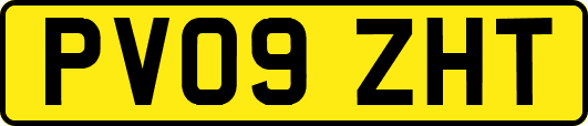 PV09ZHT