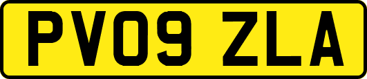 PV09ZLA