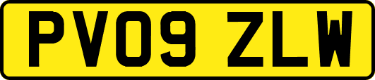 PV09ZLW