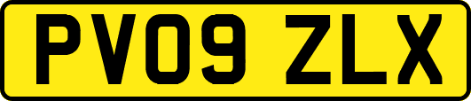 PV09ZLX