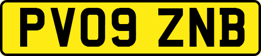 PV09ZNB