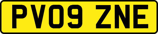 PV09ZNE