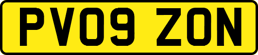 PV09ZON