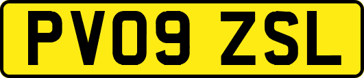 PV09ZSL