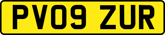 PV09ZUR