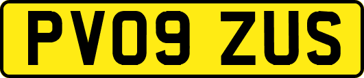 PV09ZUS