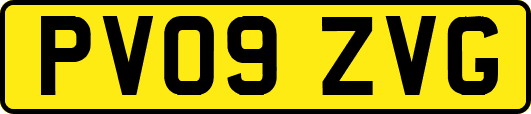 PV09ZVG
