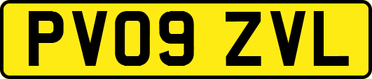 PV09ZVL