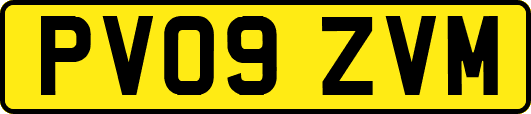 PV09ZVM