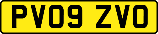 PV09ZVO