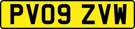 PV09ZVW