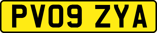 PV09ZYA