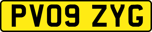 PV09ZYG