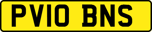 PV10BNS
