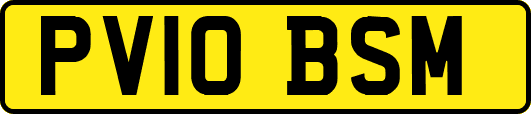 PV10BSM