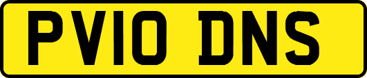 PV10DNS