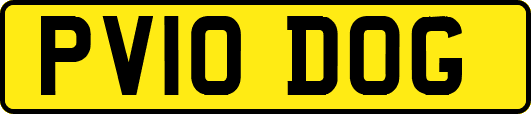 PV10DOG