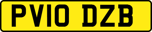 PV10DZB