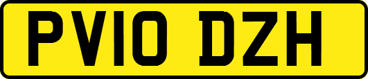 PV10DZH