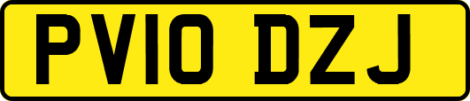 PV10DZJ