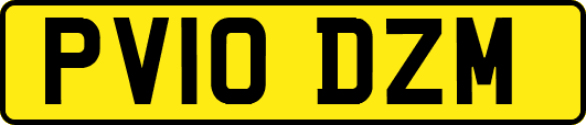 PV10DZM