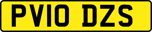 PV10DZS