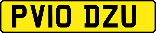 PV10DZU