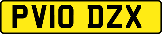 PV10DZX